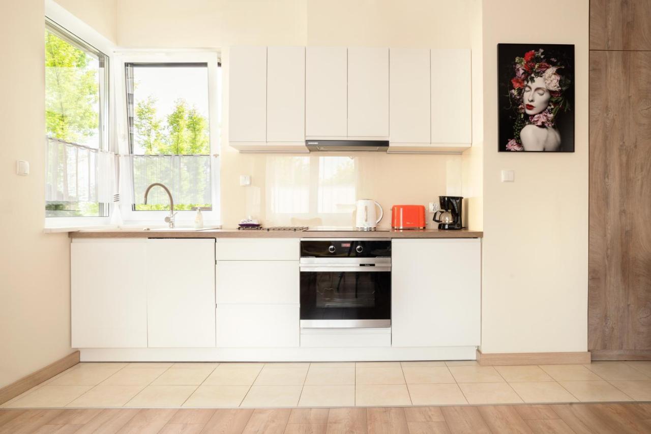 Apartament A1 MODERNO Stary Toruń Kültér fotó